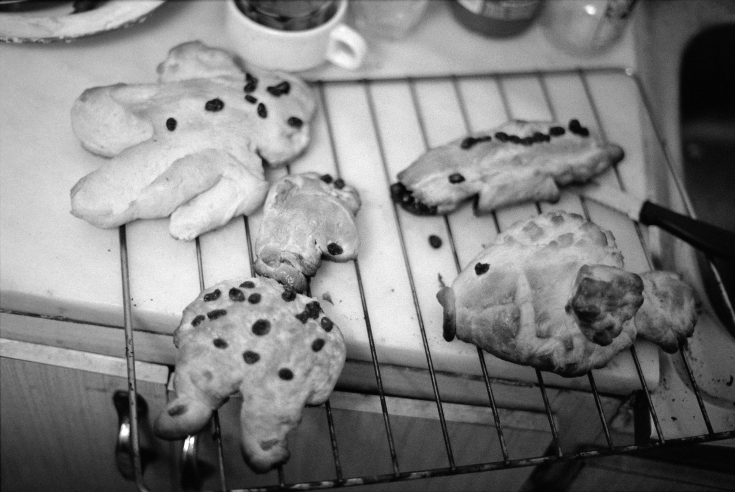 AHP F1995 10 002 sc240815 img34 NLP